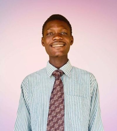 Data Analysis Intern